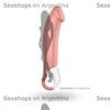 Vibrador estimulador de punto G con 12 modos de vibracion